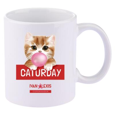 TEDDY CAT CATURDAY Thumbnail