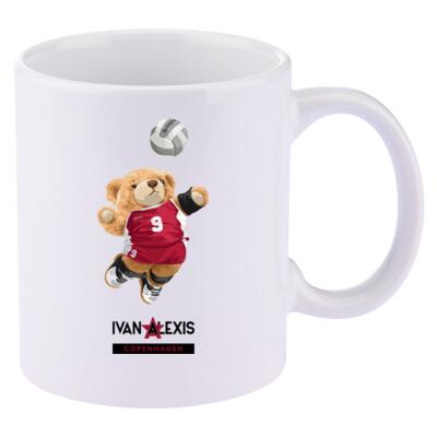 Teddy Vollyball Thumbnail